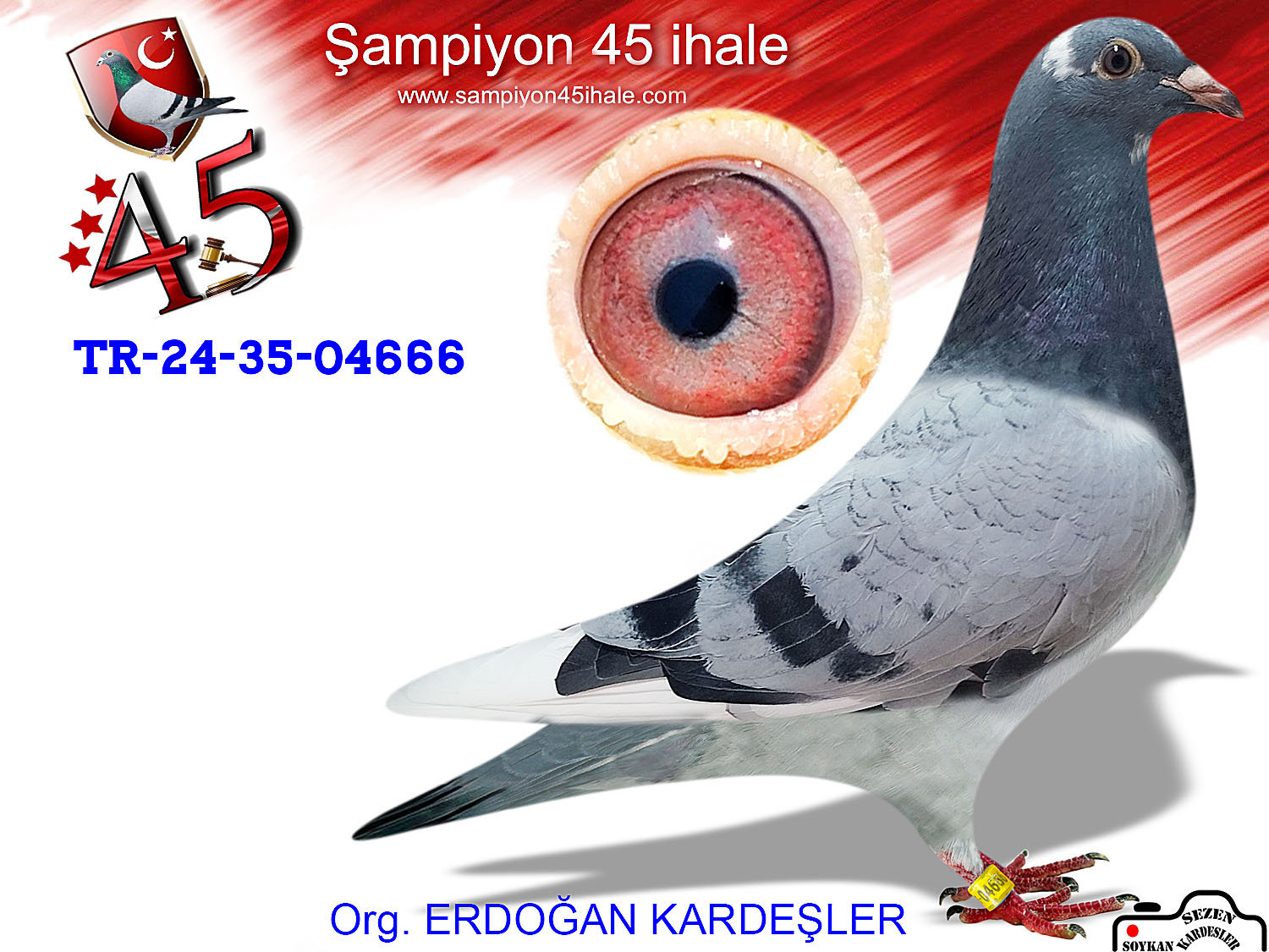 TR-24-35-04666 DİŞİ