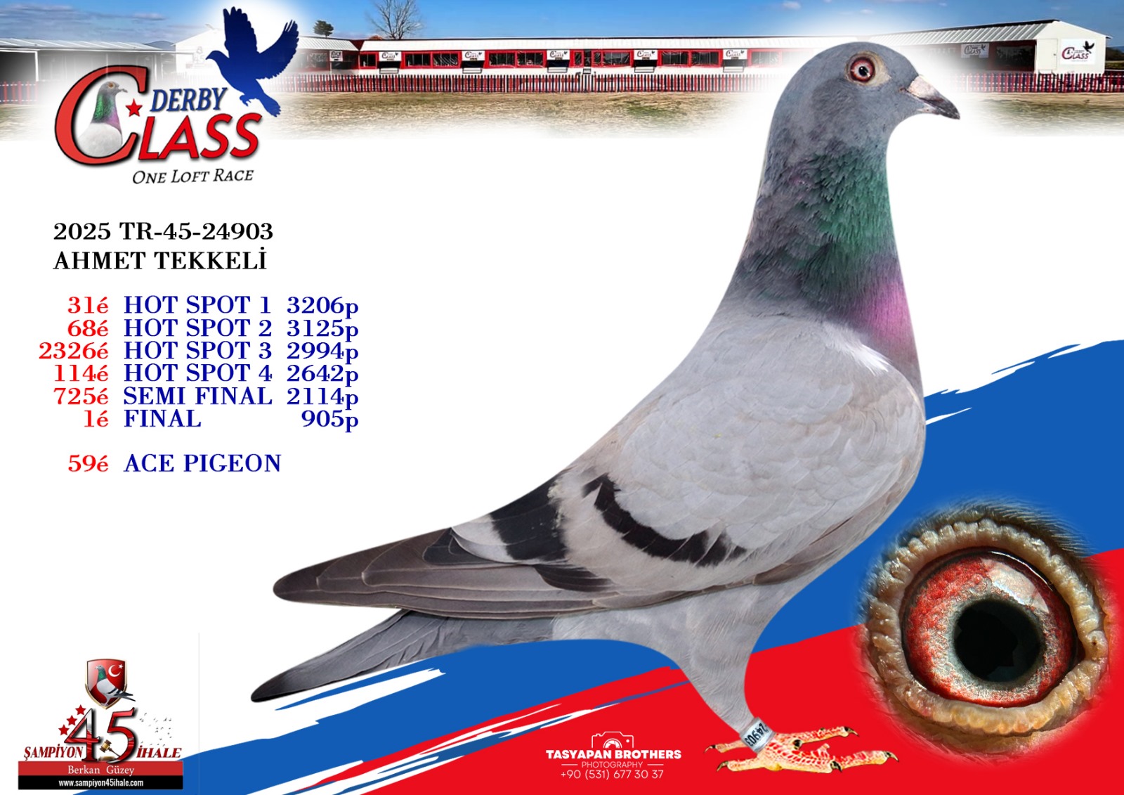 TR-45-24903 DİŞİ