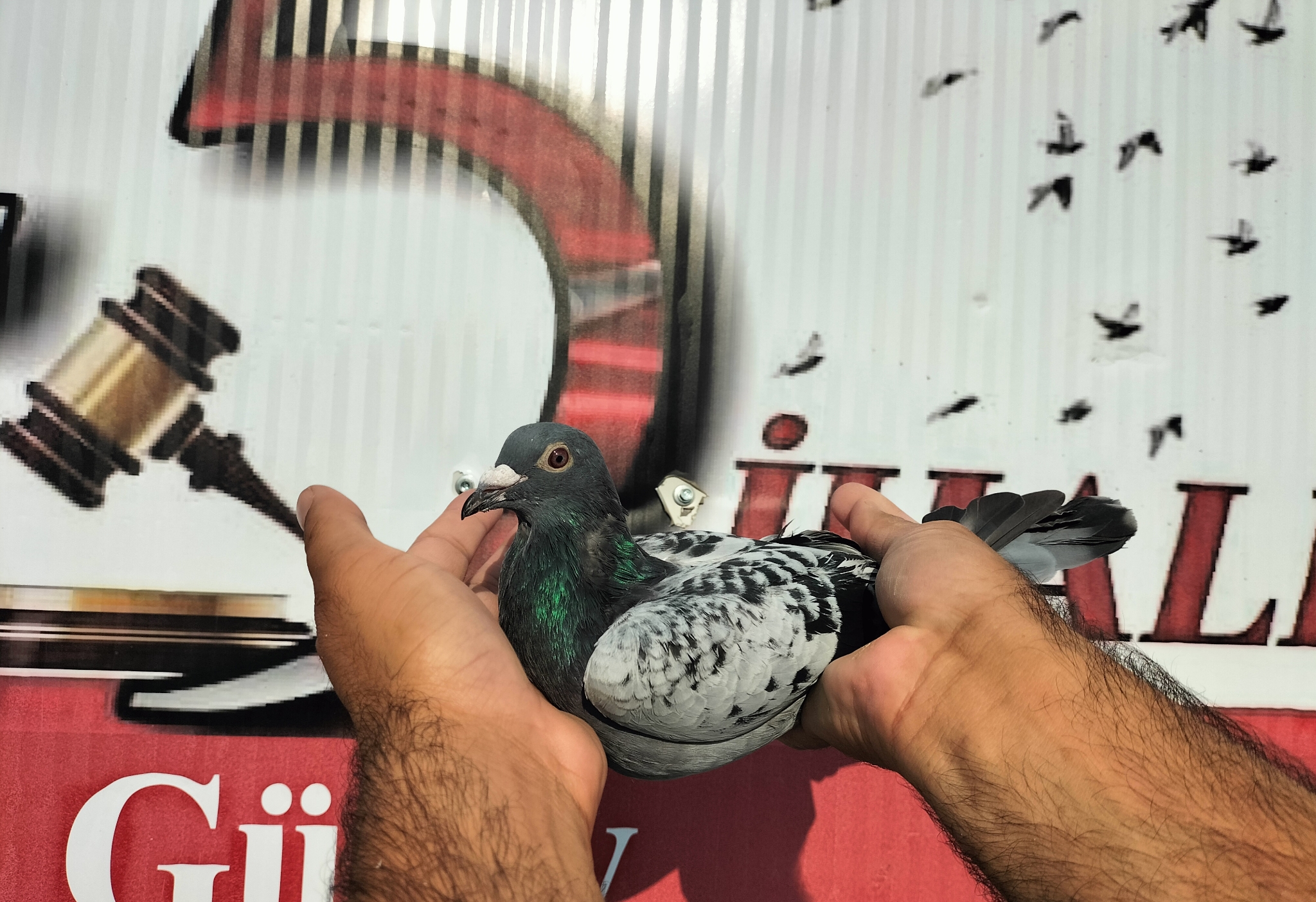 TR-10-04086 NECMİ ÇAKAR 