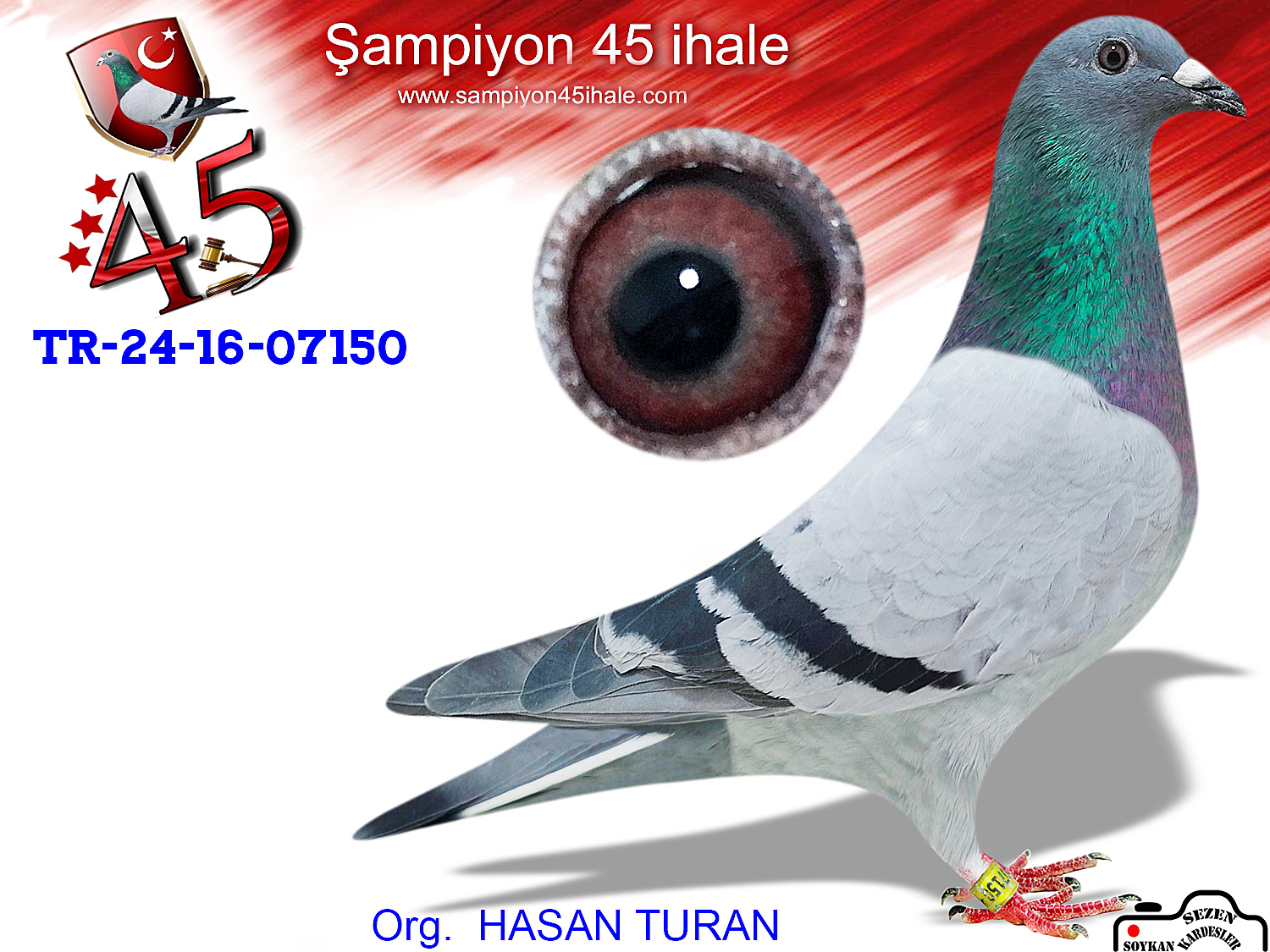 TR-24-16-07150 DİŞİ