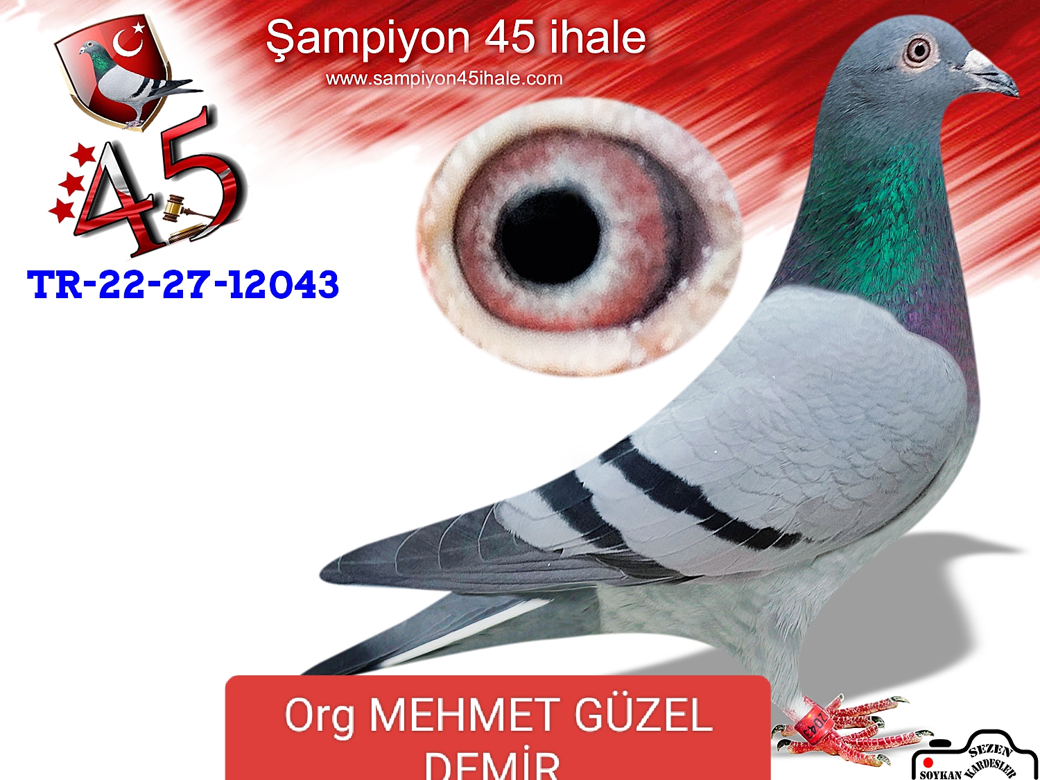 TR-22-27-12043 DİŞİ