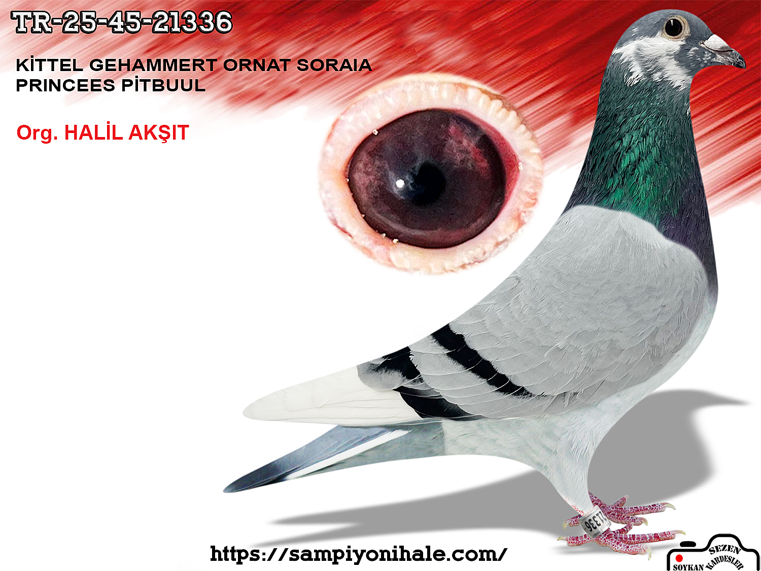 TR-25-45-21336 KİTTEL ORNAT SORİA