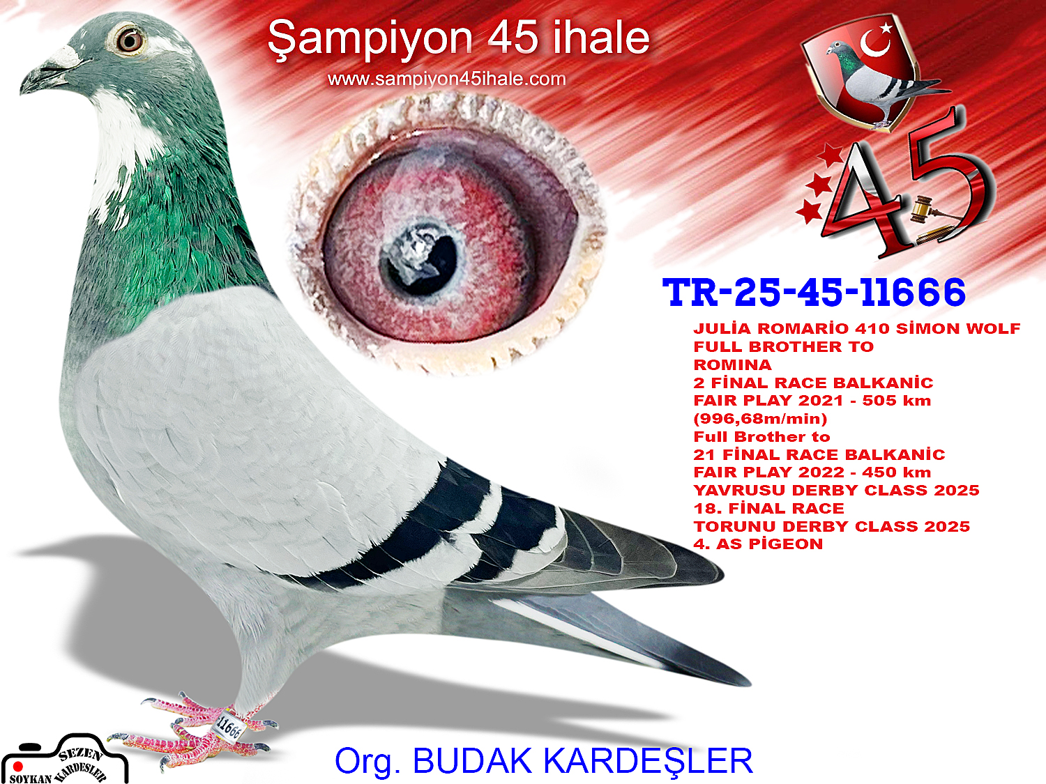 TR-25-45-11666 JULİA ROMARİO 410 SİMON WOLF
