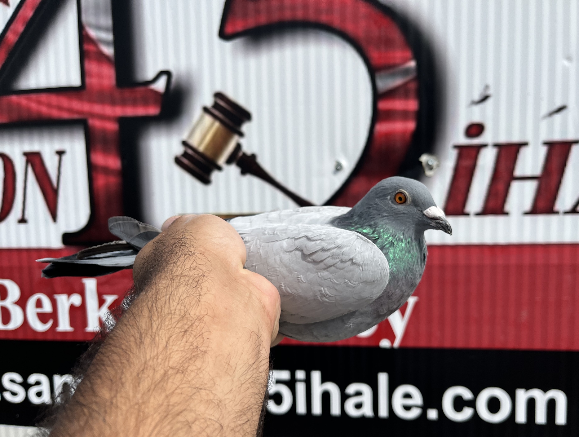 TR-25-45-34449 ORG YILMAZ KARDEŞLER 