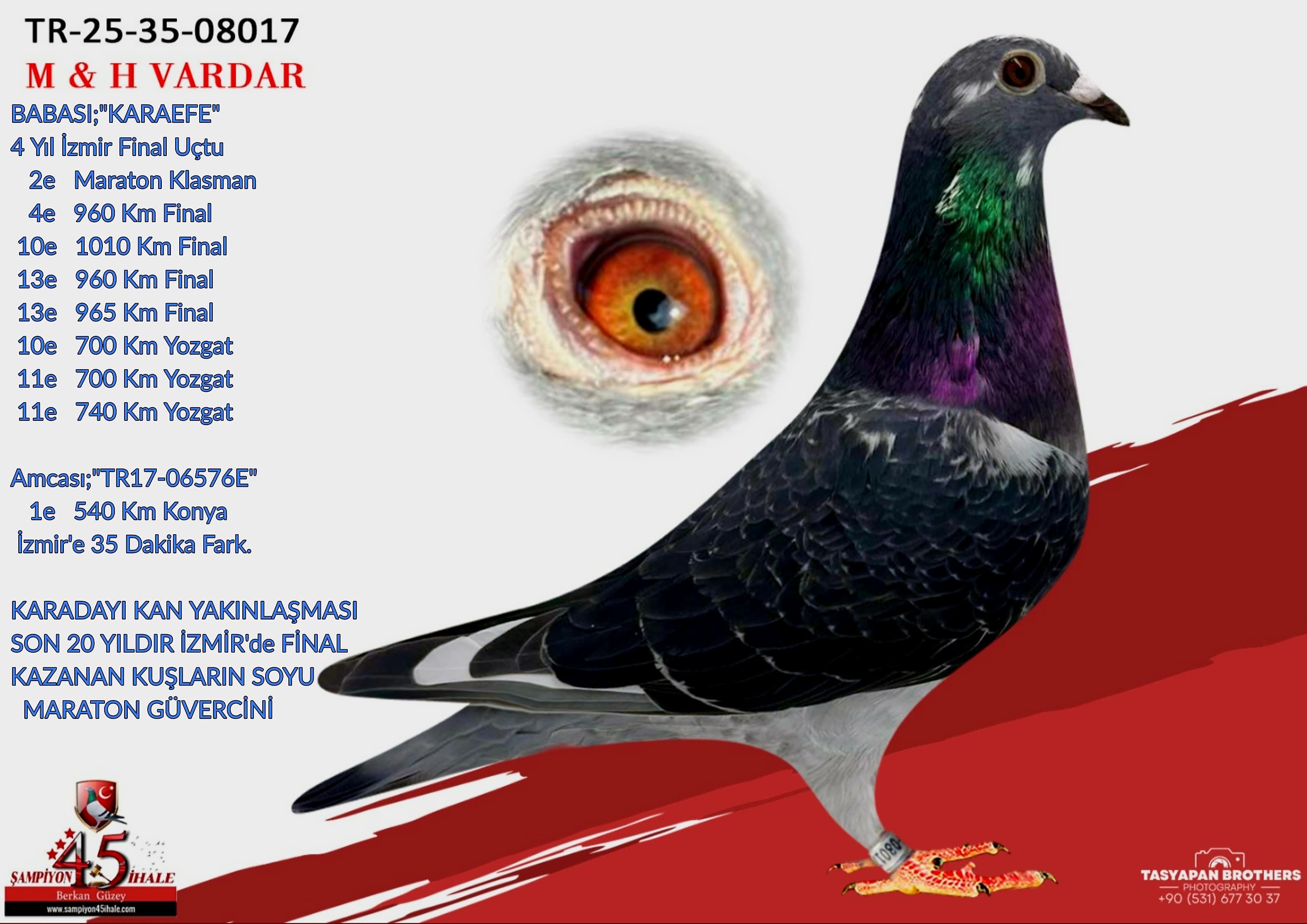 TR-25-35-08017 M & H VARDAR KARDEŞLER KARA EFE