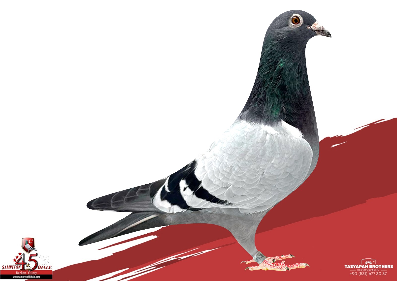 TR-20-016993 VAN DYCK LEEN BOERS ORG GÜVEN BAKIŞLI 