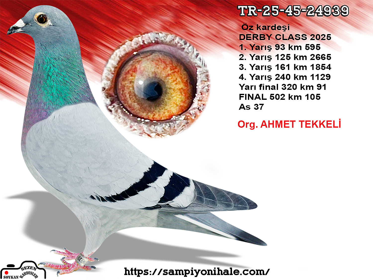 TR-25-45-24939 ORG AHMET TEKKELİ 