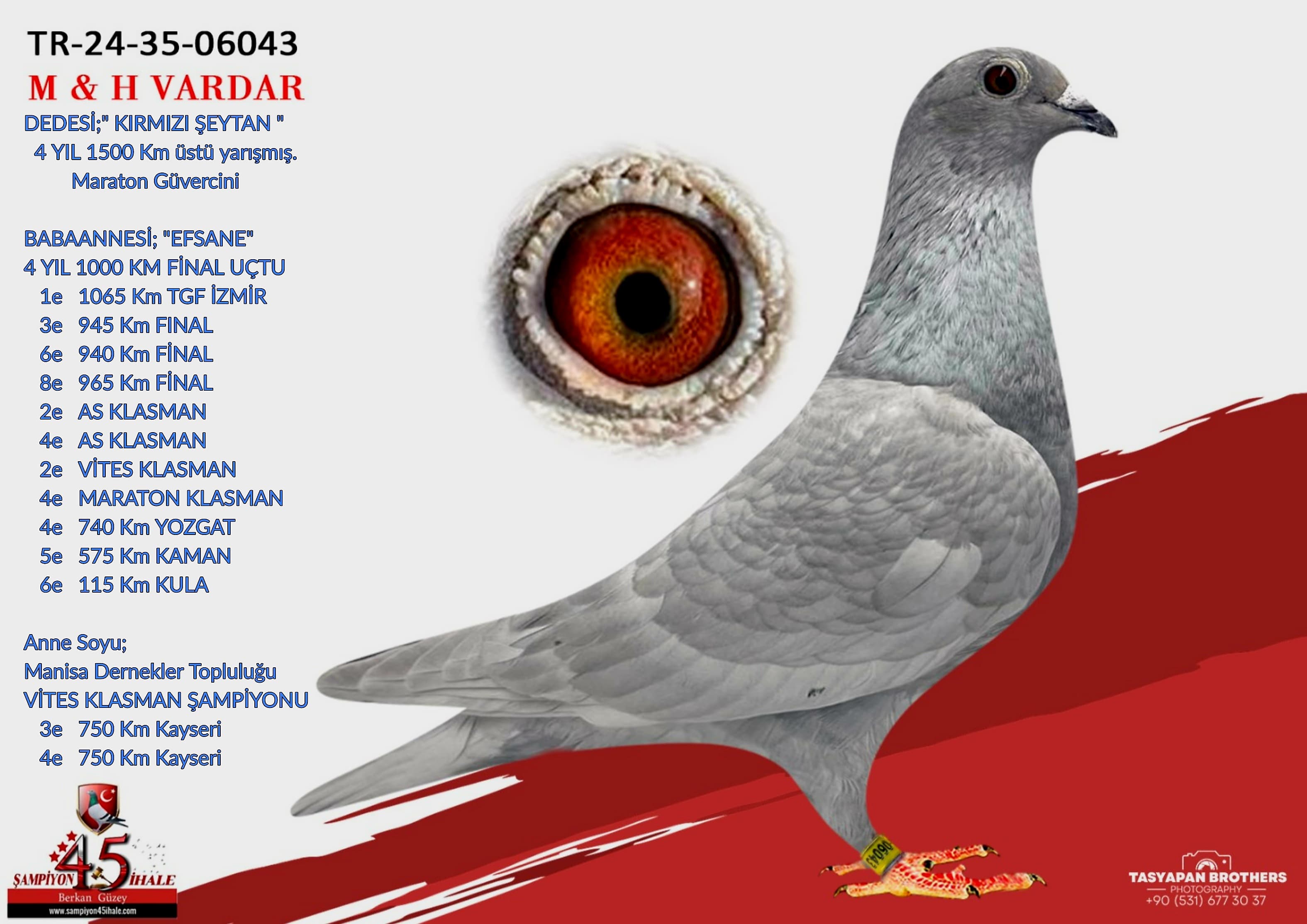 TR-24-35-06043 M & H VARDAR KARDEŞLER KIRMIZI ŞEYTAN
