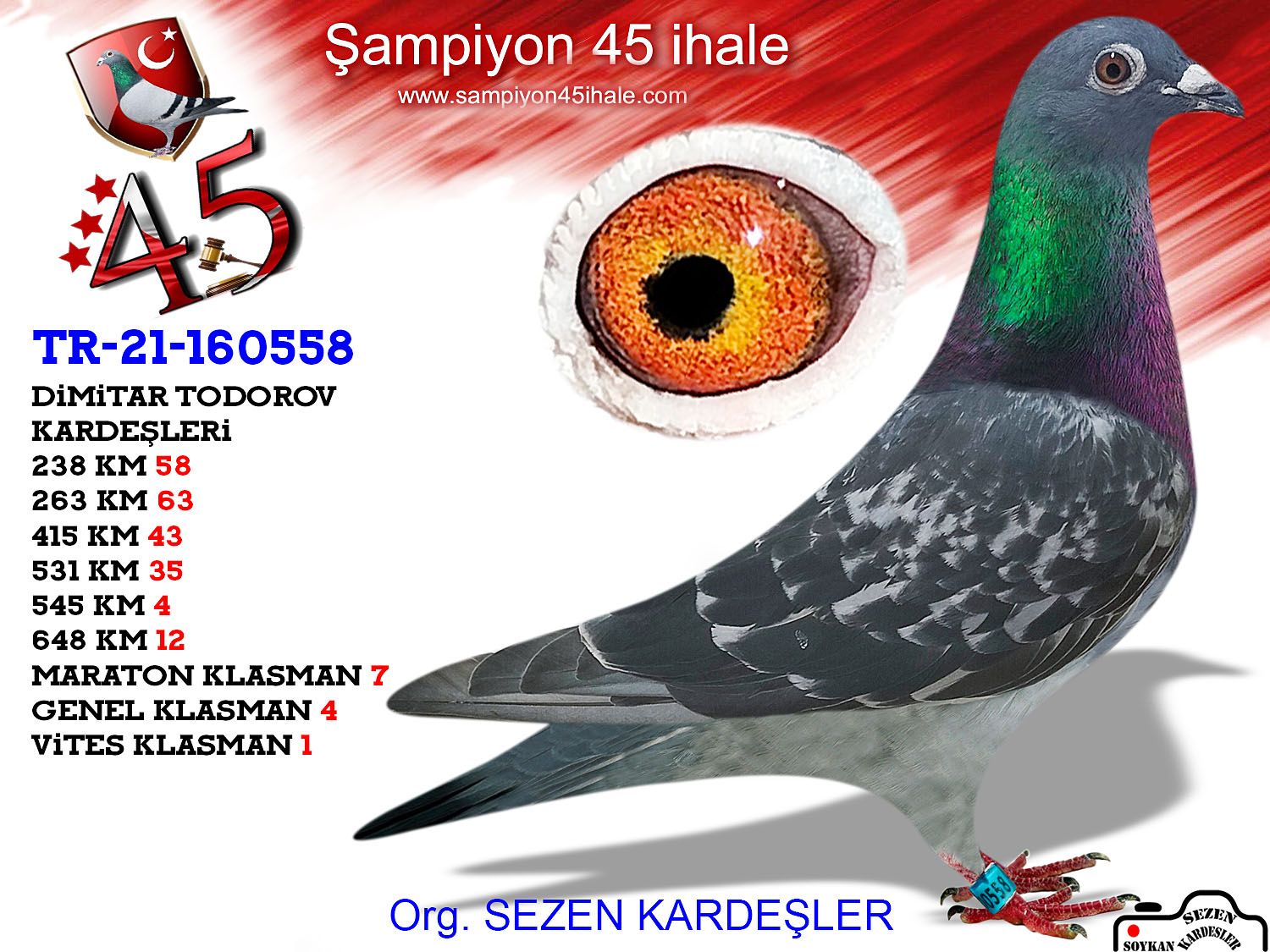 TR-21-160558 DİŞİ