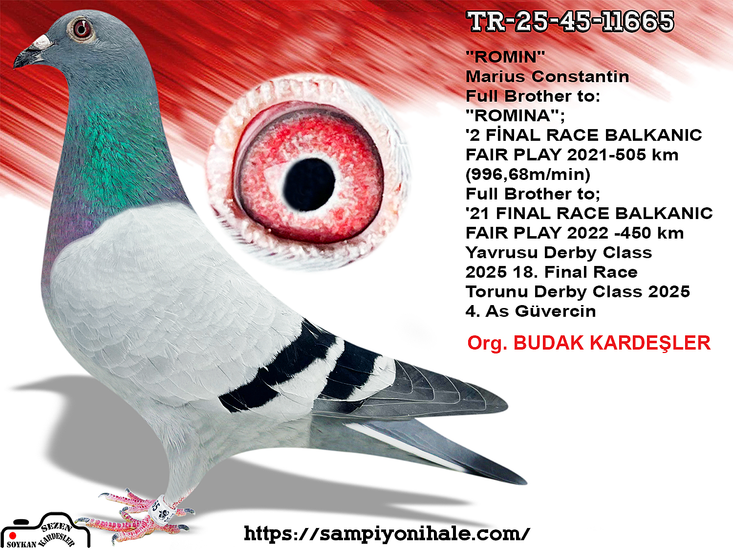 TR-25-45-11665 ROMARİO 410 SİMON WOLF 