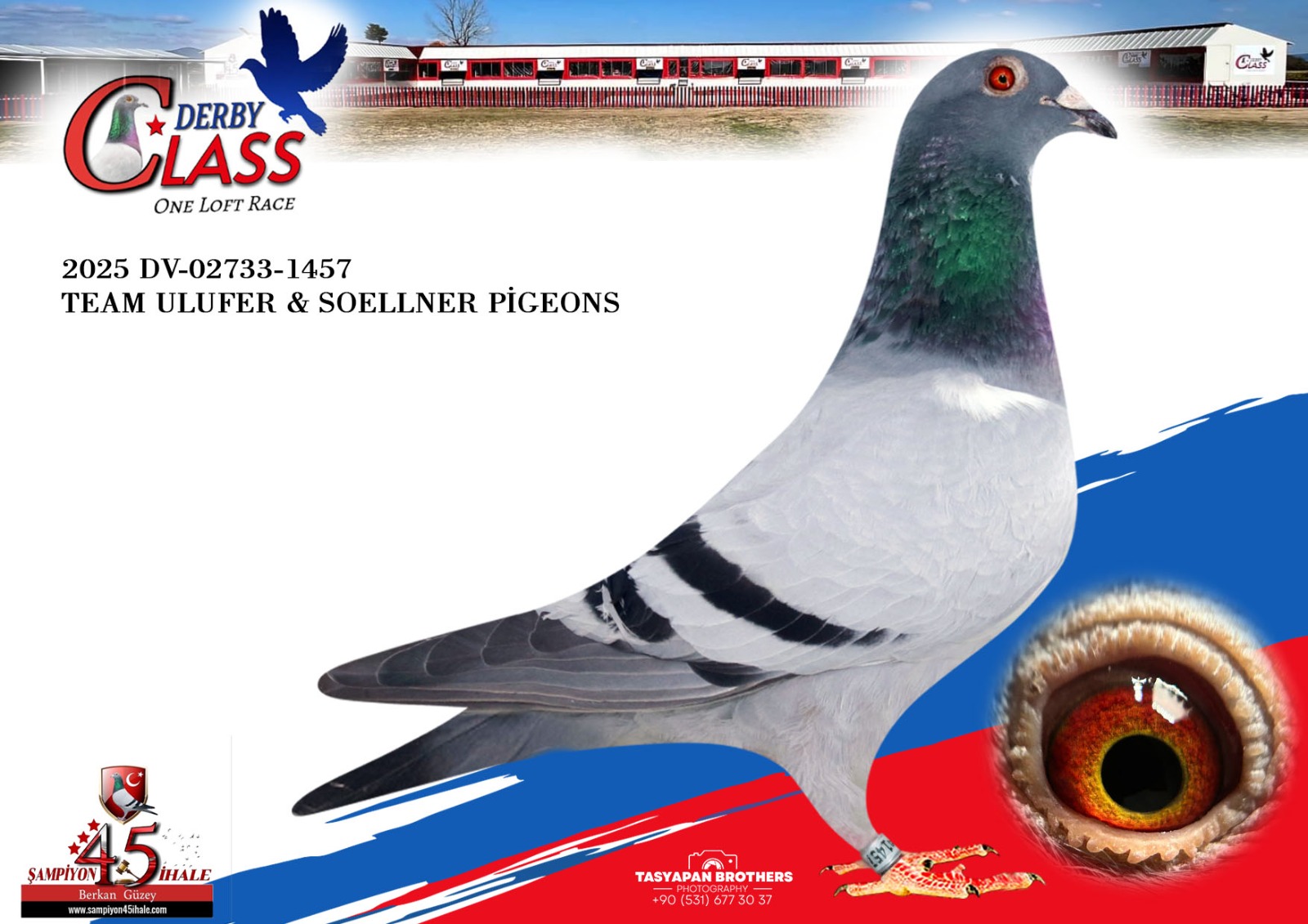 DV-02733-1457 TEAM ULUFER SOELLNER PİGEON 